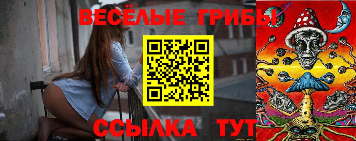 Псилоцибиновые грибы Psilocybe Новодвинск